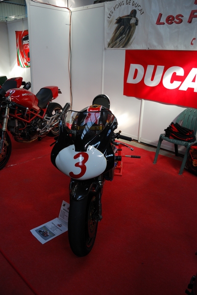 Puce_Niort_2009_068 [800x600].jpg